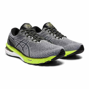 Asics GT-2000 10 - Carrier Grey/White - The Next Pair